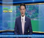 Đánh giá thị trường 8.6