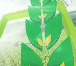 Hiệu quả sử dụng chế phẩm Ambio trên lúa