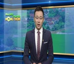 Chống nóng cho lợn