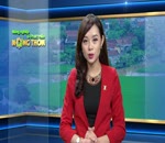 Hướng dẫn bao bọc qua bưởi