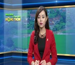Tin kiểm tra đê kè Sơn Tây, Ba Vì