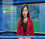 Tin kết quả 6 tháng công tác quản lý chất lượng Nông lâm thủy sản