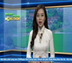Đánh giá thị trường 20.7