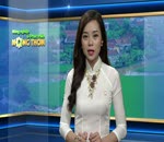 Phòng và điều trị bệnh cầu trùng gà thả vườn