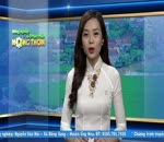 Tin giao giống gà mô hình Khuyến nông chăn nuôi 2017