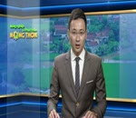 Chông nóng cho trâu bò, bò sữa