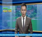 Đánh giá thị trường 3.8