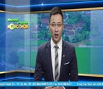 Đánh giá thị trường 31.8