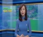 Phòng và điều trị bệnh viêm phổi trên bê nghé