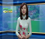 Lớp tập huấn kỹ thuật trồng hoa cho nông dân
