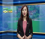 Phòng bệnh cho cá mùa thu