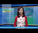 Tin bình tuyển bưởi ở huyện Phú Xuyên