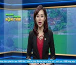 Đánh giá thị trường 5.10