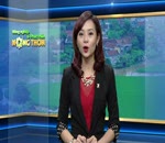 Mô hình Khuyến nông giống lúa mới tại huyện Phúc Thọ