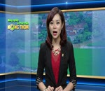 Phòng bệnh cho cá giai đoạn thời tiết chuyển mùa