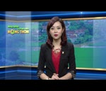 Tin hội thảo @nông nghiệp Hải Phòng