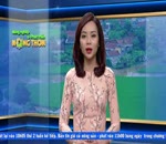 Đánh giá thị trường 26.10