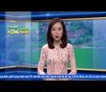 Tin nghiệm thu mô hình chăn nuôi gà Mía thả vườn huyện Thạch Thất