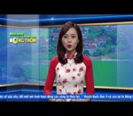 Tin khai mạc lễ hội làng nghề huyện Phú Xuyên