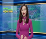 Phòng trị bệnh khô lá sinh lý hoa ly ly