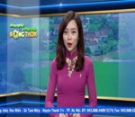 Đánh giá thị trường 7.12