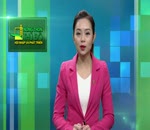 Tin đoàn địa biểu quốc hội tiếp xúc cử chi ngành nông nghiệp