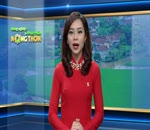 Tin Sở NN&PTNT hướng dẫn các biện pháp chống rét cho vật nuôi, thủy sản