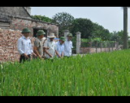 Thanh Oai: Sơ kết 3 năm thực hiện Chương trình 02 của Thành ủy Hà Nội
