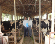 Kết quả sau 2 năm thực hiện Thí điểm Bảo hiểm nông nghiệp theo quyết định 315 của Thủ tướng Chính phủ