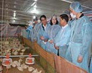 Phó Bí thư Thường trực Thành ủy kiểm tra tình hình thực hiện Chương trình 02 tại huyện Phúc Thọ