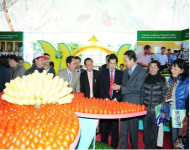 Hội chợ sản phẩm nông nghiệp và làng nghề Hà Nội năm 2014