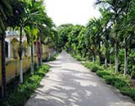 Một số hoạt động bảo vệ môi trường trong Chương trình mục tiêu quốc gia về xây dựng nông thôn mới