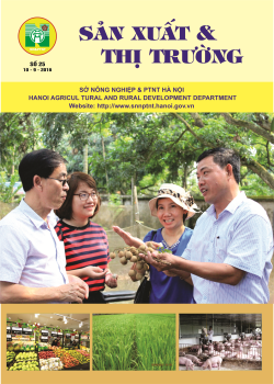Bản tin sản xuất & thị trường số 25 ngày 10.9.2016