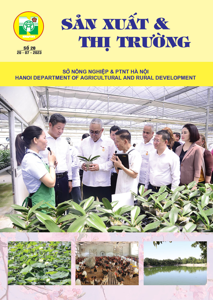 Bản tin Sản xuất & Thị trường số 20 năm 2023