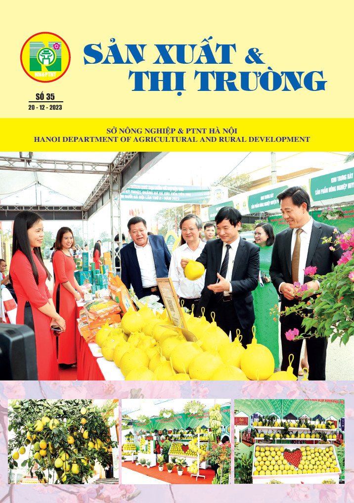 Bản tin Sản xuất & Thị trường số 35 năm 2023