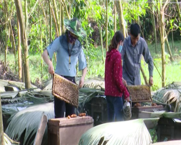Sản phẩm mật ong thiên nhiên đạt OCOP 3 sao