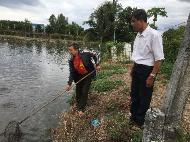Sản lượng cao nhờ nuôi cá xen vụ