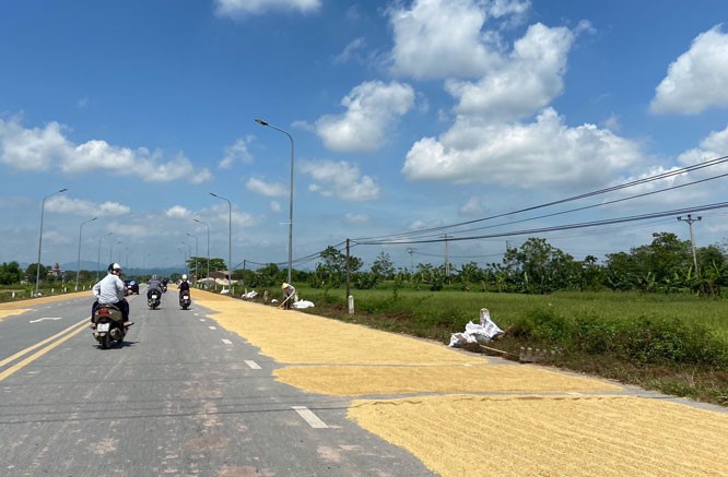 Gỡ khó cho cơ giới hóa sau thu hoạch