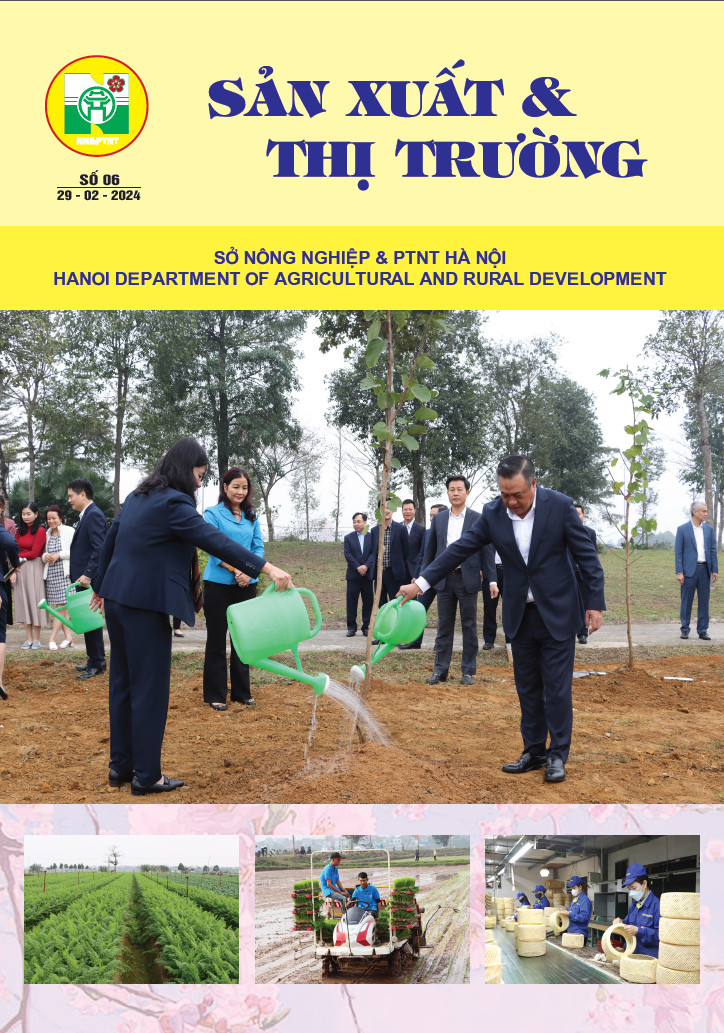Bản tin Sản xuất & Thị trường số 6 năm 2024