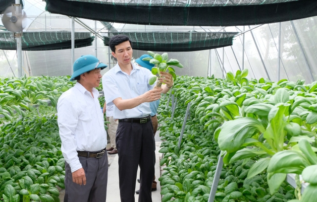 Triển khai Tháng hành động an toàn thực phẩm năm 2024
