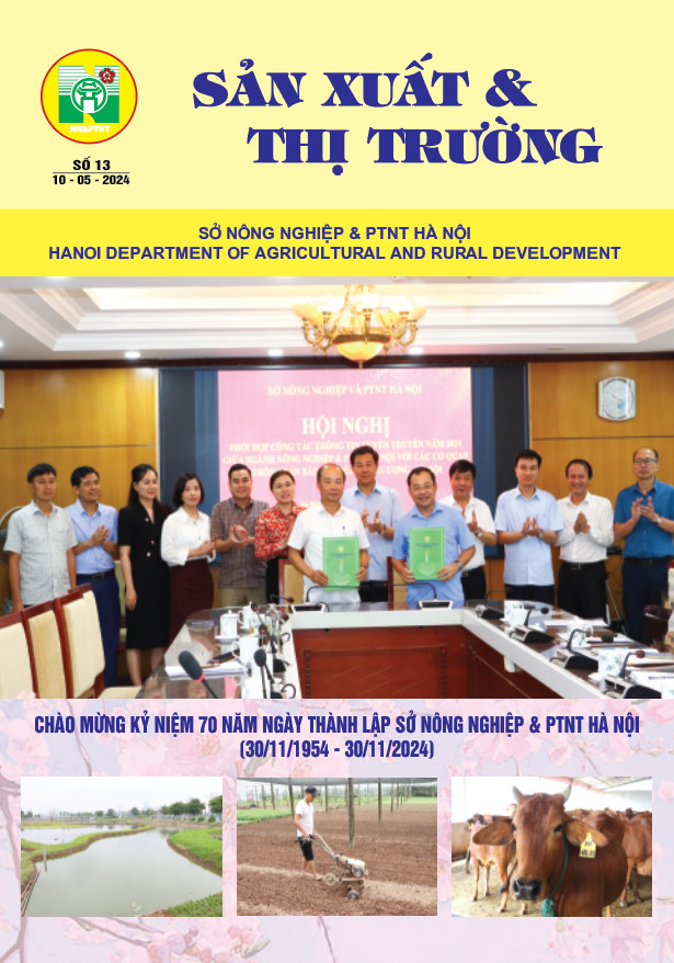 Bản tin Sản xuất & Thị trường số 13 năm 2024