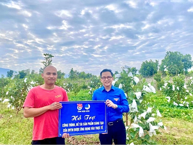 Trồng cây ăn quả theo hướng hữu cơ cho thu nhập khá