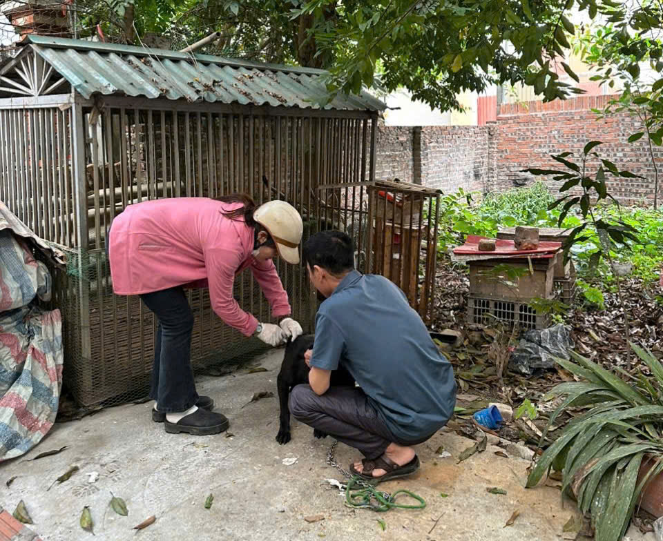 Sơn Đồng: triển khai tiêm phòng vắc xin dại cho đàn chó, mèo đợt 1 năm 2026