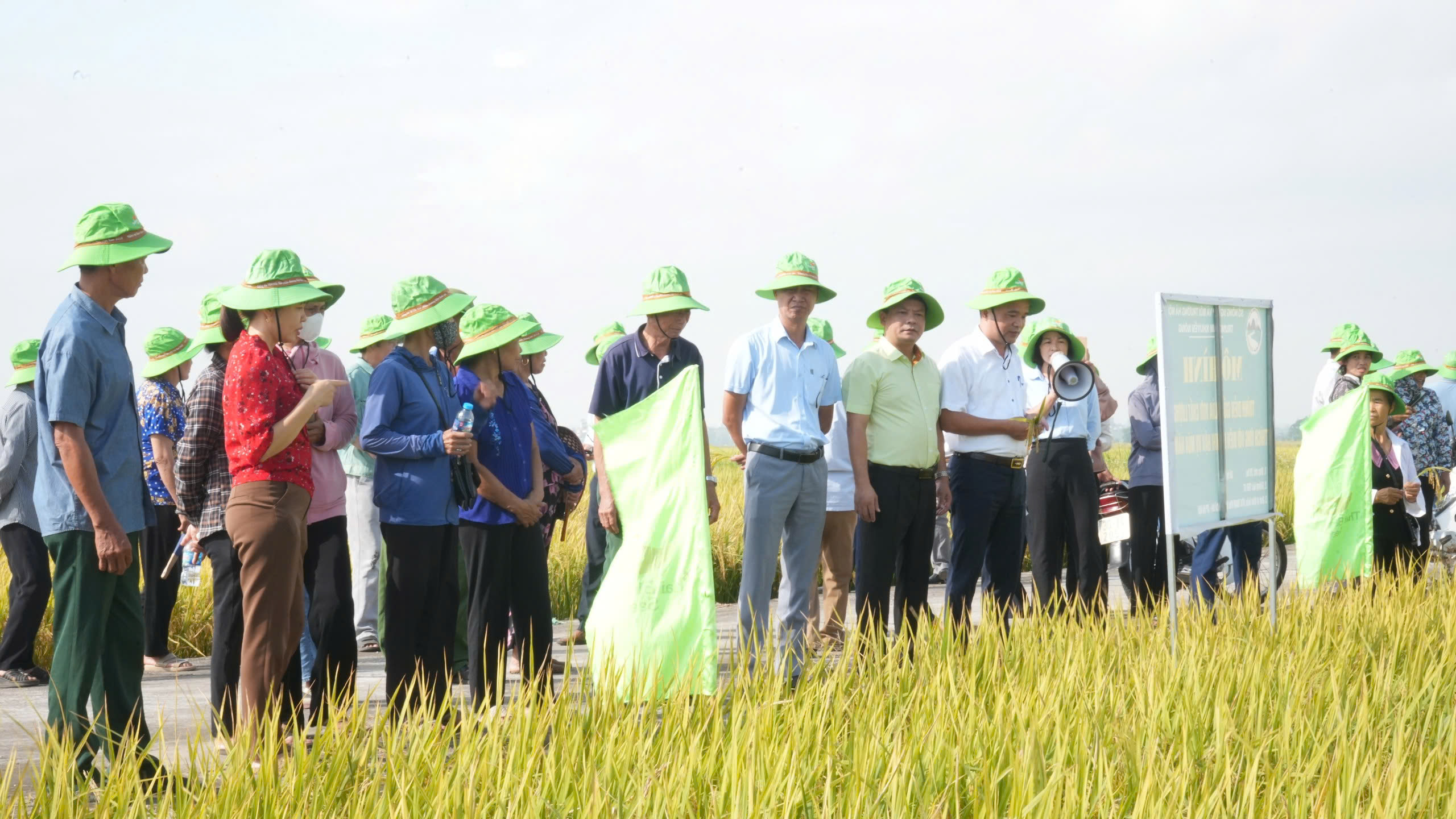 Hội nghị tổng kết các mô hình lúa mùa năm 2025