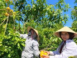 Nâng cao thu nhập nhờ mạnh dạn chuyển đổi cây trồng, vật nuôi ở vùng đặc biệt khó khăn