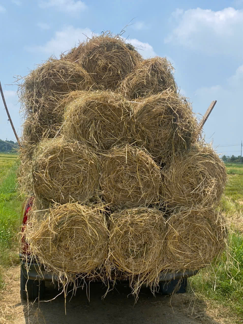 Máy cuộn rơm rạ - tận dụng hiệu quả, nâng cao giá trị sản xuất nông nghiệp