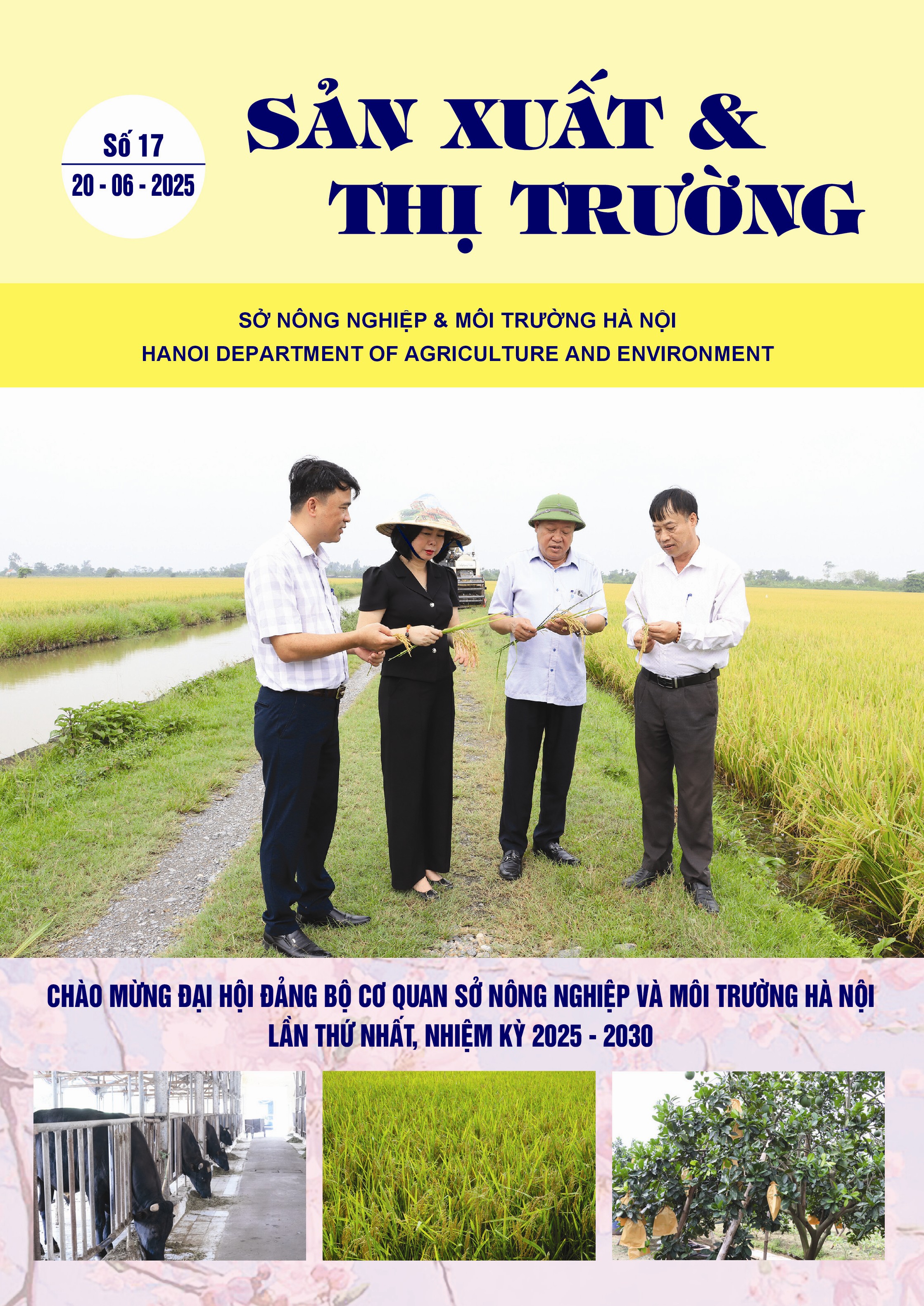 Bản tin Sản xuất & Thị trường số 17 năm 2025
