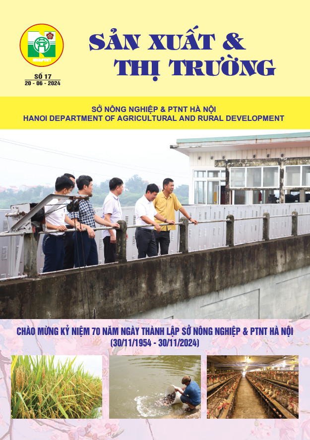 Bản tin Sản xuất & Thị trường số 17 năm 2024