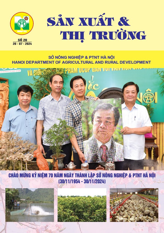 Bản tin Sản xuất & Thị trường số 20 năm 2024