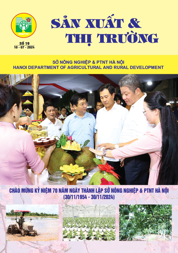 Bản tin Sản xuất & Thị trường số 19 năm 2024